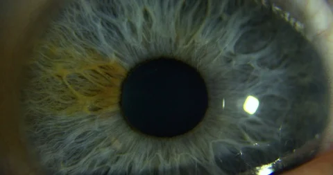 Extreme Close Up Human Eye Iris 库存影片 86461720