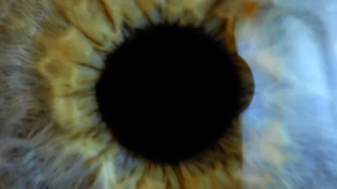 Extreme close up human eye iris Stock Footage