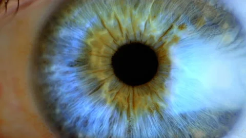 Extreme close up human eye iris Stock Footage 102591300