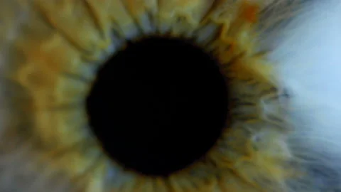 Extreme close up human eye iris Stock Footage 103366892