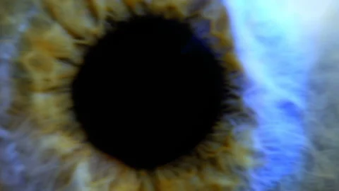 Extreme close up human eye iris 動画素材 103367015