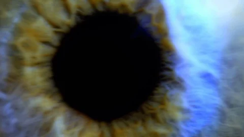 Extreme close up human eye iris 動画素材 104186336