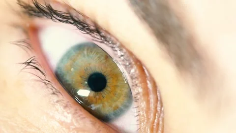 Extreme Close Up Human Eye Iris Stock Footage 153177913