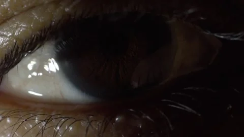 Extreme close up of human eye showing brown iris, pupil and detailed eyelashes Stock Footage 343711829