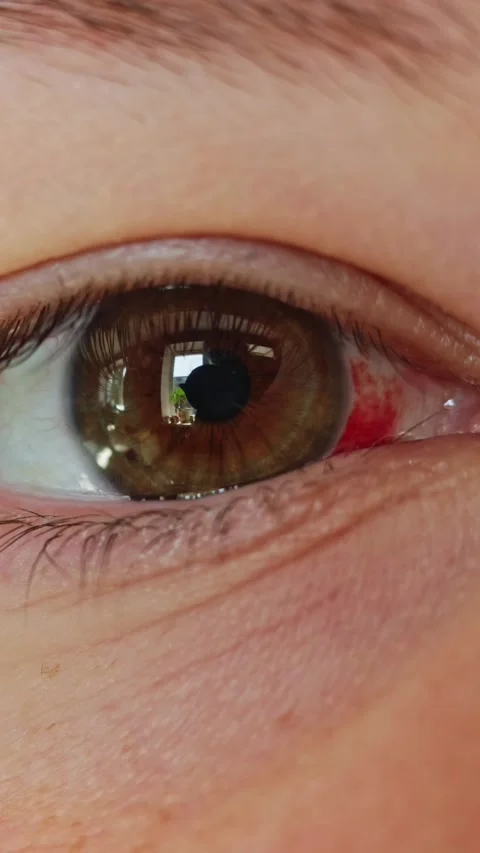 Extreme close-up of a human eye showing iris detail and red blood vessels Stock-Footage 343838011