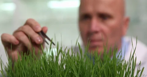Extreme Close Up Image Scientist Blurred Image Analyzing Small Plants Leaf Stock-Footage 83688078