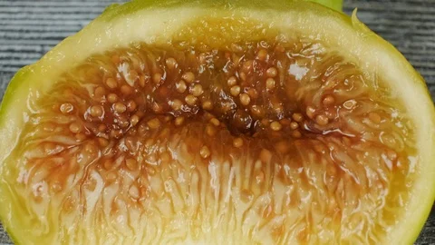 Extreme close up of the inside of a fresh fig. Stock Footage 113767992