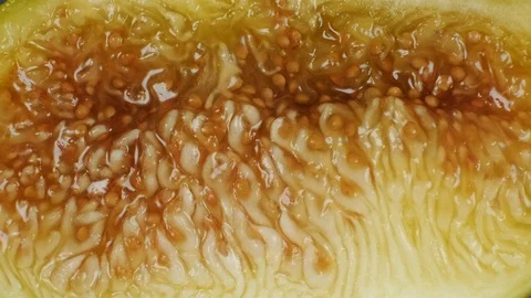 Extreme close up of the inside of a fresh fig. Stock Footage 113768104