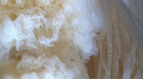 Extreme Close Up of a Jellyfish Stock Footage