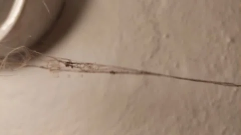 Extreme close-up of a long, dusty cobweb with trapped dirt hanging from a ceilin Vídeos de archivo 335474911