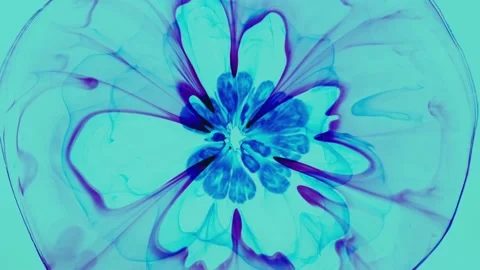 Extreme Close Up Macro Colors 01 Stock Footage 229449653