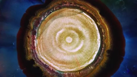 Extreme Close Up Macro Colors 05 Stock Footage 229449631
