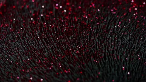 Extreme Close Up Macro Colors 09 스톡 동영상 229449595