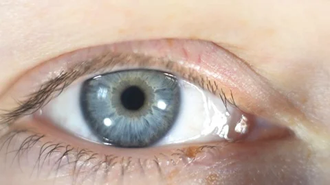 Extreme close-up macro eye freckled face of red haired woman with blue eyes Stock Footage 127697828