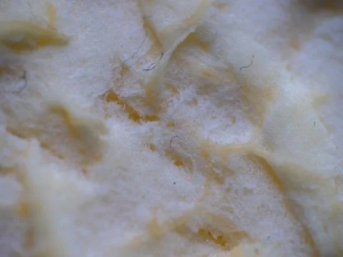 Extreme close-up, macro of fruit for background or texture Stock Photos