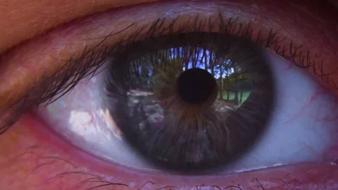 Extreme close up macro of human eye iris 4K Stock Footage 133998706