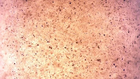 Extreme close up macro on a instant tea grains, dissolves in moving hot water Stock Footage 144431320