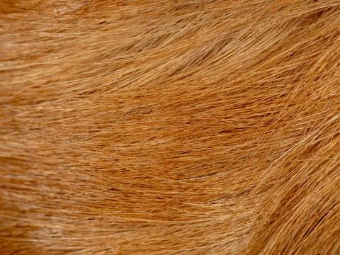 Extreme close-up, macro of material for background or texture Stock Photos