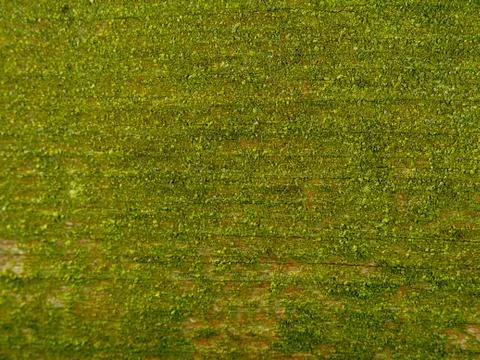 Extreme close-up, macro of material for background or texture Stock Photos