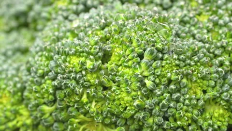Extreme Close Up Macro Texture Of Fresh Green Broccoli Florets With Water Drops Stock Footage 325970284