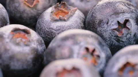 Extreme close up, macro view. Heap of blueberries in close detail. Slider shot. Stock-Footage 293690118