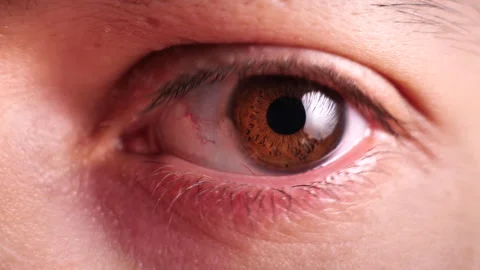 Extreme Close-Up Of A Man Eye Video stock 251030819