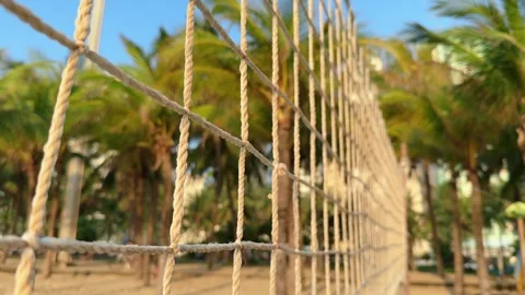 Extreme Close Up motion along Beach Volleyball Rope Net with Palm Trees in the Stock Footage 342581841