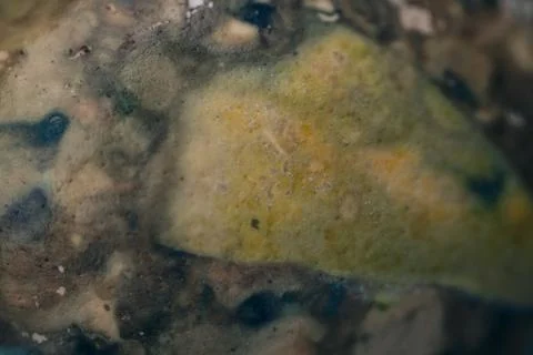 An extreme close-up of a naturally dyed Easter egg. 스톡 사진