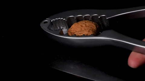 Extreme close up of the nutcracker breaking a walnut shell. Slow motion Stock Footage 123430810