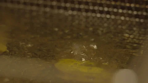 Extreme close-up of oil boiling in deep fryer Vídeos de archivo 336173923