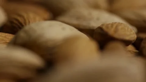 Extreme close up panning over textured brown almond shells Stock Footage 328074552