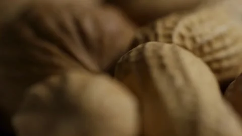 Extreme close up panning over walnut and peanut shells Stock Footage 328135814