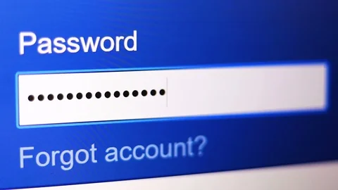 Extreme Close-up of Password box in Internet Browser on Computer Screen. Stock Footage 125985861