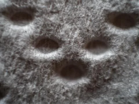 Extreme close up of perforations on kitchen paper 스톡 사진