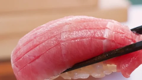 Extreme Close-up of Premium Chutoro Bluefin Tuna Nigiri Sushi Being Picked Up wi Stock Footage 333498261