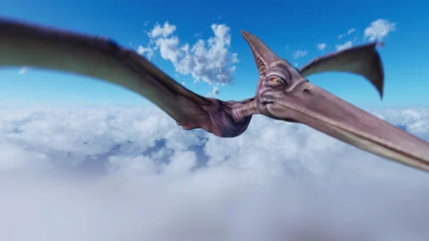 An extreme close-up of a Pterosaur flying high above the clouds. Stock Footage 259045322