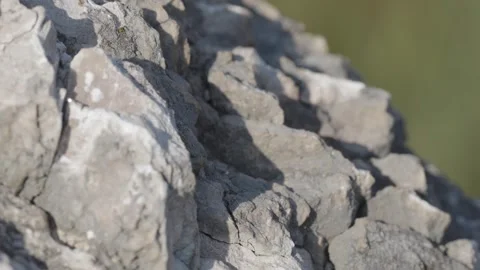 Extreme close up rack focus on rocky boulder 動画素材 260153688