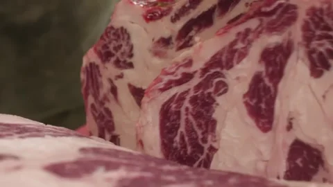 Extreme Close-up of Raw Marbled Ribeye Beef Steak Texture for BBQ Stock Footage 338212892