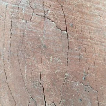 Extreme close up reddish brown deeply cracked rough wood bark texture Stock Photos