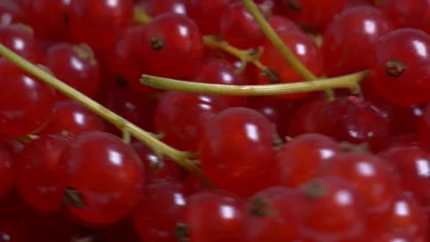 Extreme close-up of ripe red currants rotating on a turntable, highlighting.. Vidéo 346296379