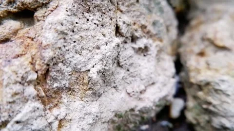 Extreme close up of rough rock texture with natural organic details. Stock Footage 343875949