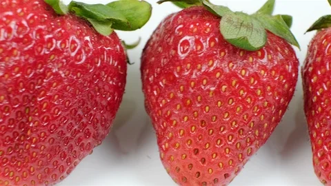 Extreme close up of a row of strawberries. Stock Footage 107074393