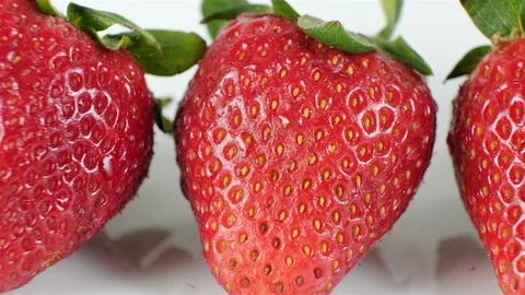 Extreme close up of a row of strawberries. Stock Footage 107074518