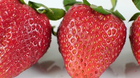 Extreme close up of a row of strawberries. Stock Footage 107074649