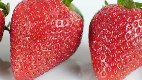 Extreme close up of a row of strawberries. Stock Footage 107074863