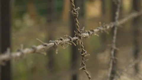 Extreme close up of rusty barb wire Stock Footage 107620849