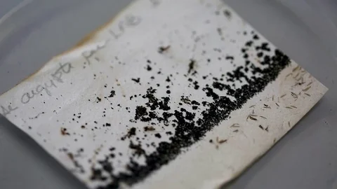 Extreme close up of a sample of zika virus on a piece of paper Stock Footage 76203887