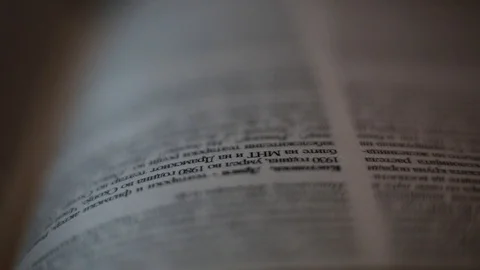 Extreme Close up of a sentences of a Book Stock Footage 127139641