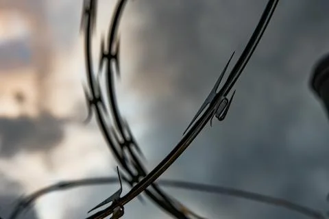 Extreme Close Up Sharp Silouhetted Barbed Wire Stock Photos