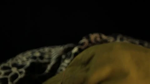 Extreme close up shot of crazed guy ducking below and rising with coke on face Stock Footage 199093006